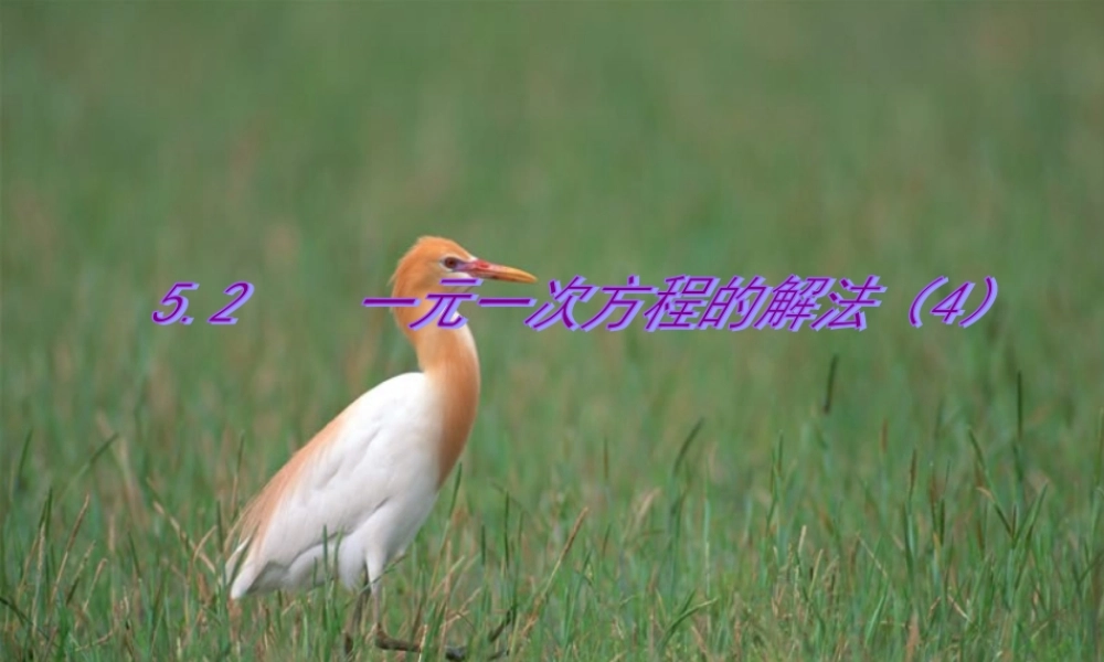 七年级数学上册 一元一次方程解法课件 湘教版 课件