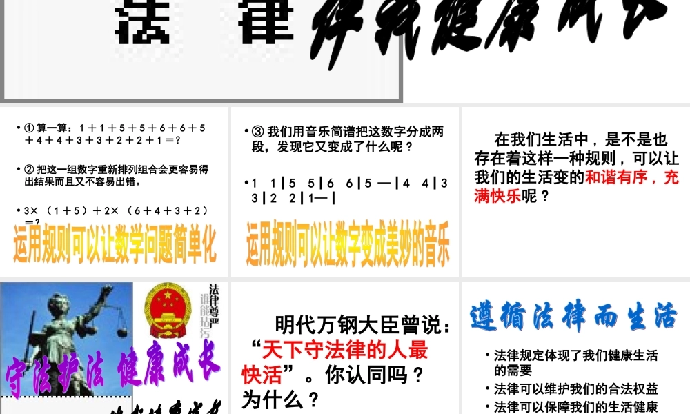 七年级政治法律伴我们健康成长 七年级政治下：第八课 法律护我成长 课件人教版新课标