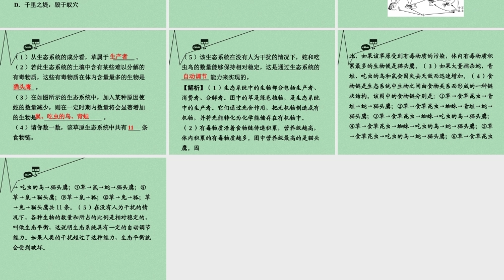 中考生物 第二部分 重点专题突破 专题三 生物与环境复习课件 苏教版 课件