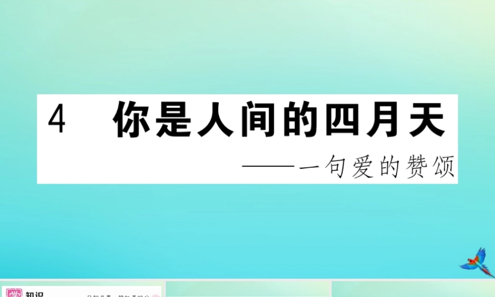 (黄冈专版)九年级语文上册 第一单元 4 你是人间的四月天作业课件 新人教版 课件