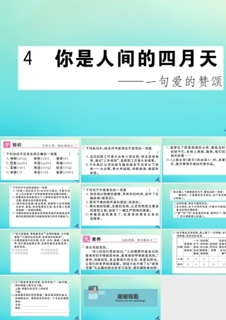(黄冈专版)九年级语文上册 第一单元 4 你是人间的四月天作业课件 新人教版 课件