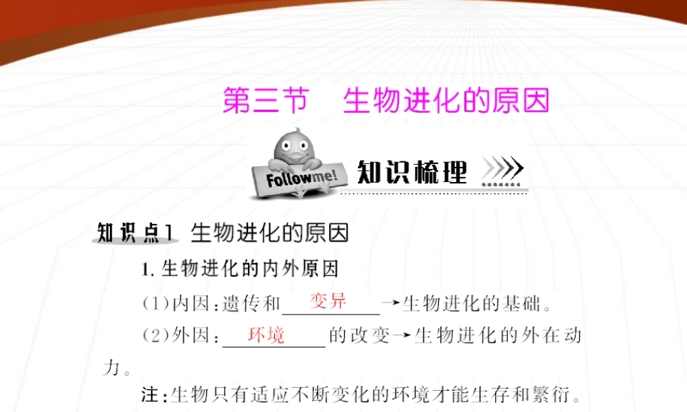 (随堂优化训练)八年级生物下册 第七单元 第三章 第三节 生物进化的原因 配套课件 人教新课标版 课件