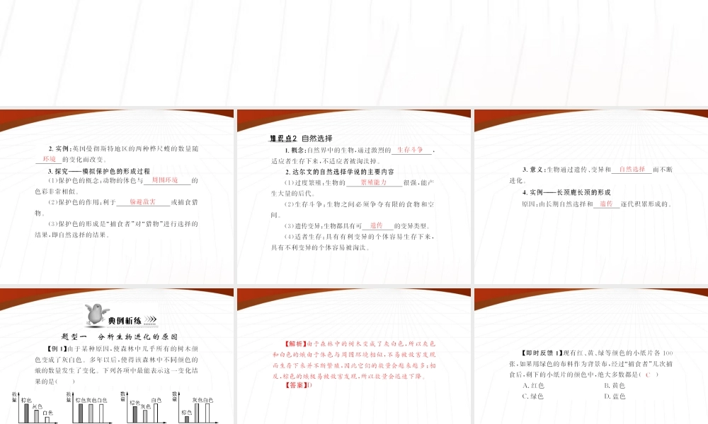 (随堂优化训练)八年级生物下册 第七单元 第三章 第三节 生物进化的原因 配套课件 人教新课标版 课件