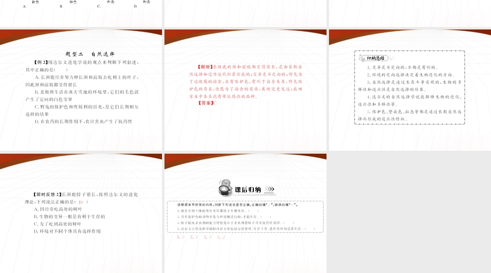 (随堂优化训练)八年级生物下册 第七单元 第三章 第三节 生物进化的原因 配套课件 人教新课标版 课件