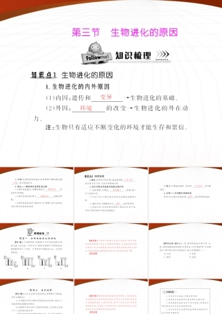 (随堂优化训练)八年级生物下册 第七单元 第三章 第三节 生物进化的原因 配套课件 人教新课标版 课件