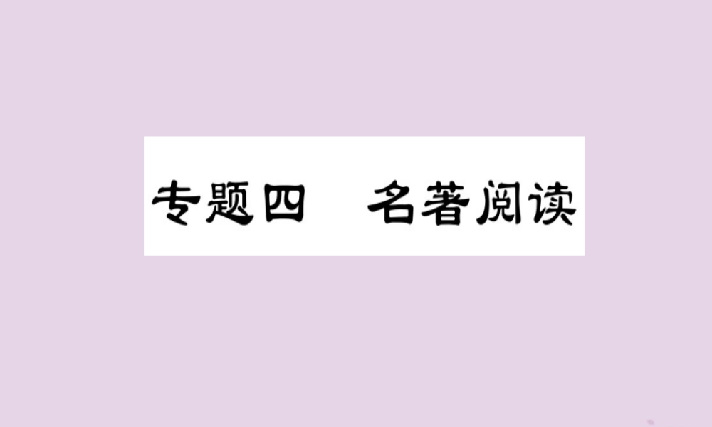 中考语文复习 第一部分 语文知识及运用 专题四 名著阅读课件