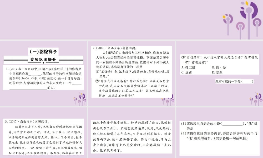 中考语文复习 第一部分 语文知识及运用 专题四 名著阅读课件