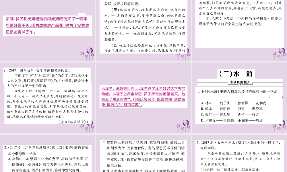 中考语文复习 第一部分 语文知识及运用 专题四 名著阅读课件