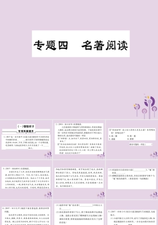 中考语文复习 第一部分 语文知识及运用 专题四 名著阅读课件