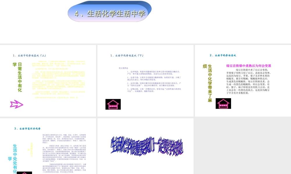 九年级化学 生活中的化学 课件