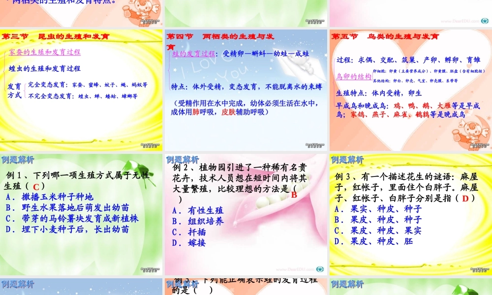 中考生物的生殖和发育课件 苏教版 课件