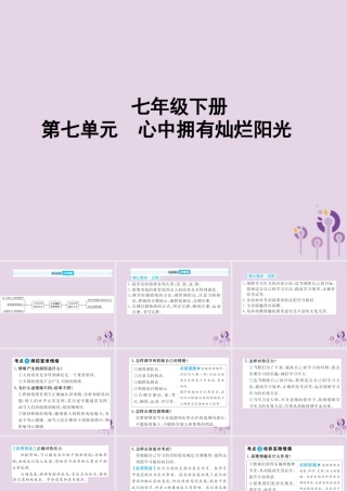 中考道德与法治总复习 七下 第七单元 心中拥有灿烂阳光课件