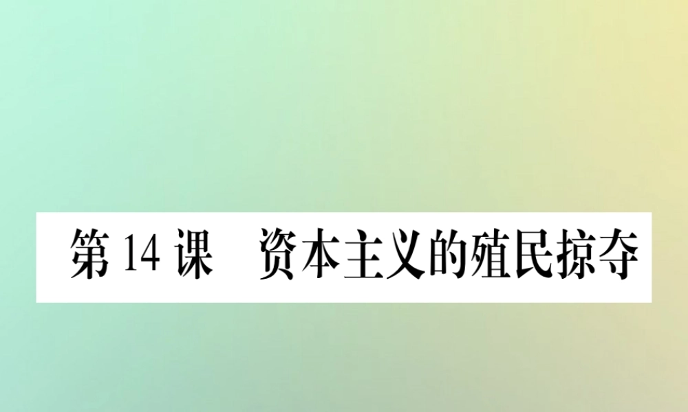 九年级历史上册 第3单元 近代早期的西欧 第14课 资本主义的殖民掠夺课件 中华书局版 课件