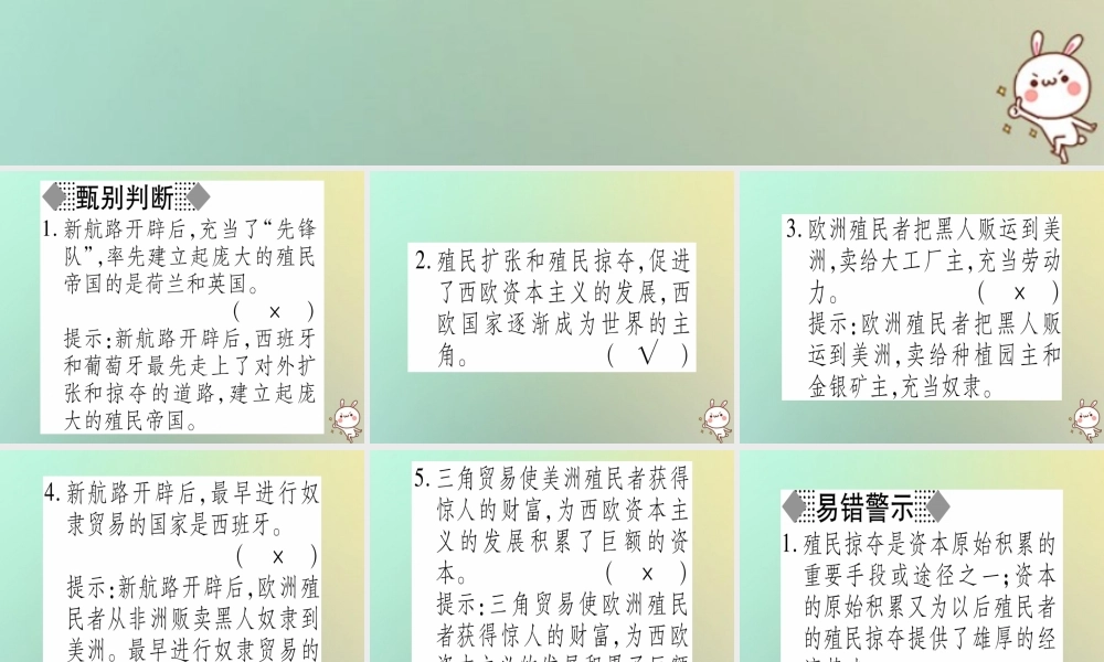 九年级历史上册 第3单元 近代早期的西欧 第14课 资本主义的殖民掠夺课件 中华书局版 课件