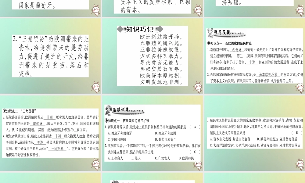 九年级历史上册 第3单元 近代早期的西欧 第14课 资本主义的殖民掠夺课件 中华书局版 课件