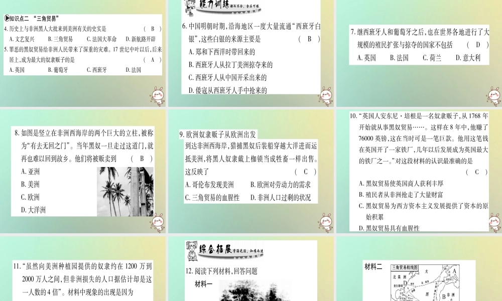 九年级历史上册 第3单元 近代早期的西欧 第14课 资本主义的殖民掠夺课件 中华书局版 课件