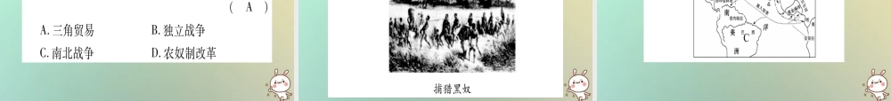九年级历史上册 第3单元 近代早期的西欧 第14课 资本主义的殖民掠夺课件 中华书局版 课件