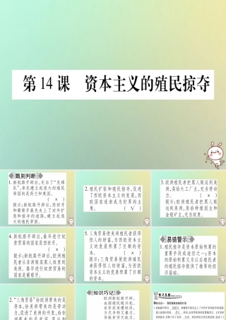 九年级历史上册 第3单元 近代早期的西欧 第14课 资本主义的殖民掠夺课件 中华书局版 课件