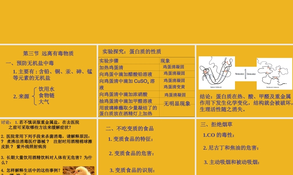 九年级化学 第八单元第三节 远离有毒物质课件课件 鲁教版 课件