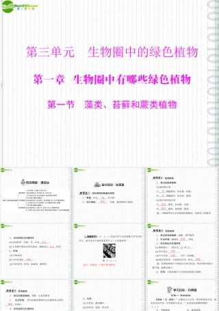 (随堂优化训练)七年级生物上册 第三单元 第一章 第一节 藻类、苔藓和蕨类植物配套课件 人教新课标版 课件