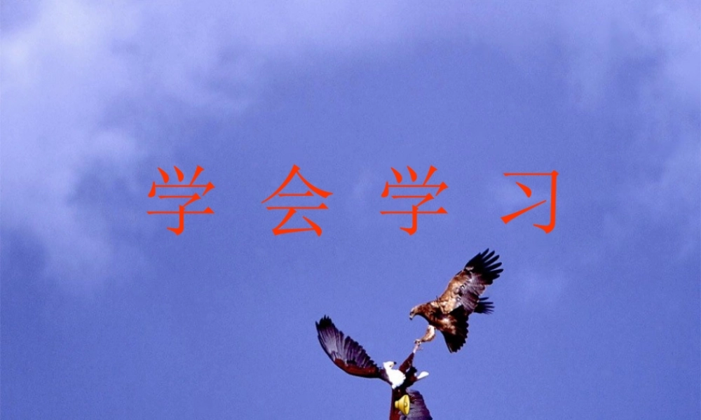 七年级政治上册 (学会学习)课件 鲁教版 课件