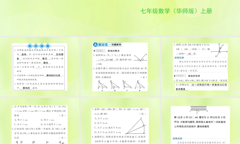 七年级数学上册 第5章 相交线与平行线 5.1 相交线 第2课时 垂线习题课件 (新版)华东师大版 课件
