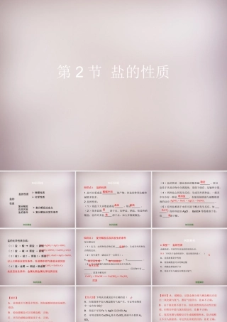九年级化学下册 第12章 第2节(盐的性质)复习课件 (新版)北京课改版 课件