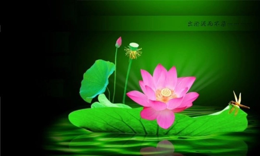 中考英语研讨会资料 试卷分析课件 人教新目标版 课件