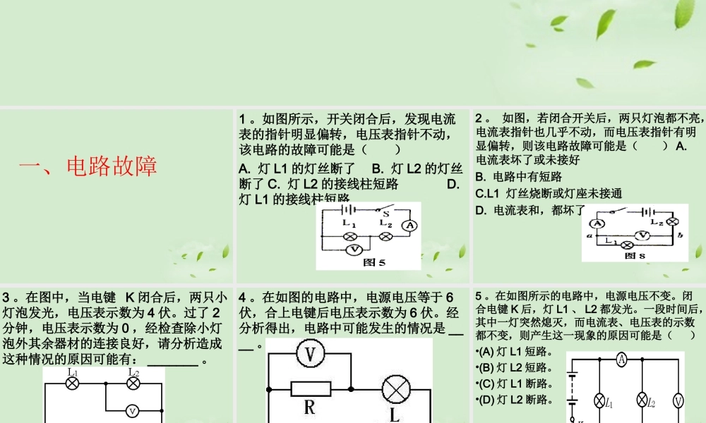 中考物理 专题提升 电压电阻课件