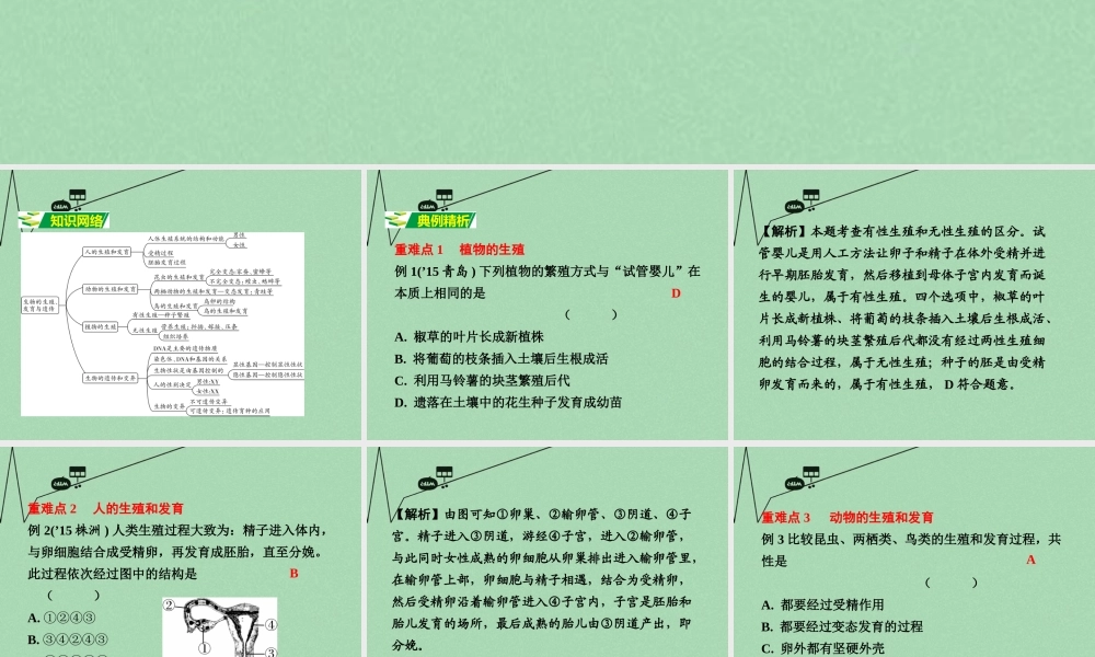 中考生物 第二部分 重点专题突破 专题七 生物的生殖、发育与遗传复习课件 苏教版 课件