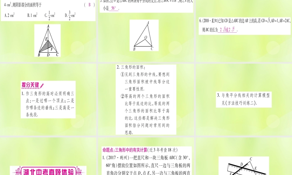(湖北专用版)版中考数学优化复习 第4章 三角形 第2节 一般三角形及其性质实用课件