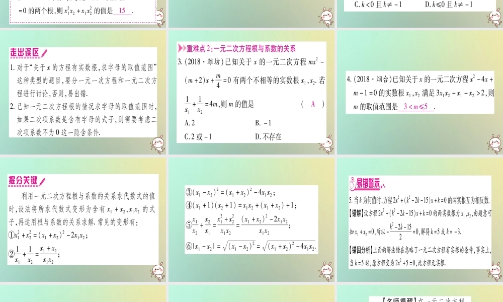 中考数学精选准点备考复习 第一轮 考点系统复习 第2章 方程(组)与不等式(组)第2节 一元二次方程及其应用 第2课时 一元二次方程根的判别式及根与系数的关系课件 新人教版 课件