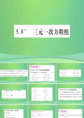 (江西专用)八年级数学上册 第5章 二元一次方程组 5.8 三元一次方程组作业课件 (新版)北师大版 课件