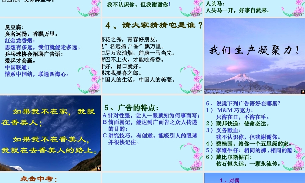 中考语文专题复习 广告词 试题