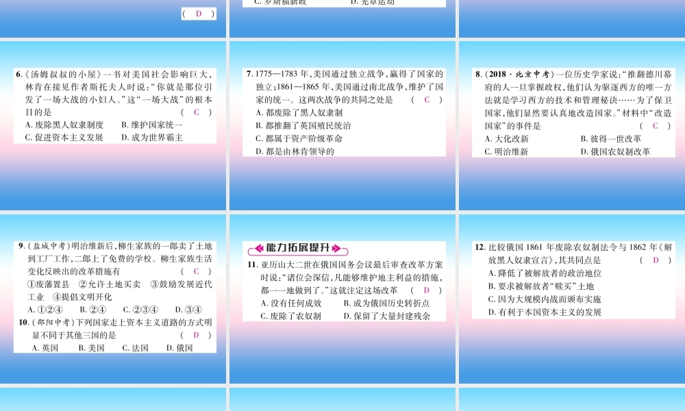 九年级历史下册 第1单元 殖民地人民的反抗与资本主义制度的扩展总结提升自主学习课件 新人教版 课件