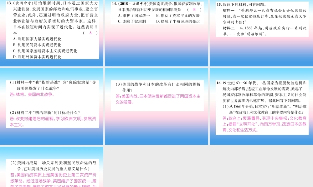 九年级历史下册 第1单元 殖民地人民的反抗与资本主义制度的扩展总结提升自主学习课件 新人教版 课件