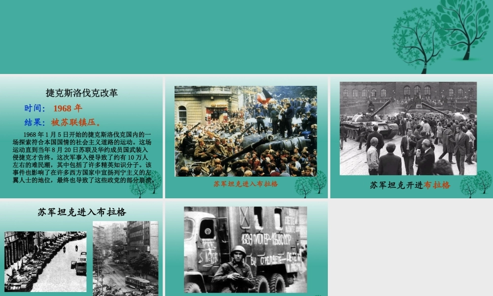 九年级历史下册 第11课(东欧社会主义国家的改革与演变)捷克斯洛伐克改革课件 新人教版 010632