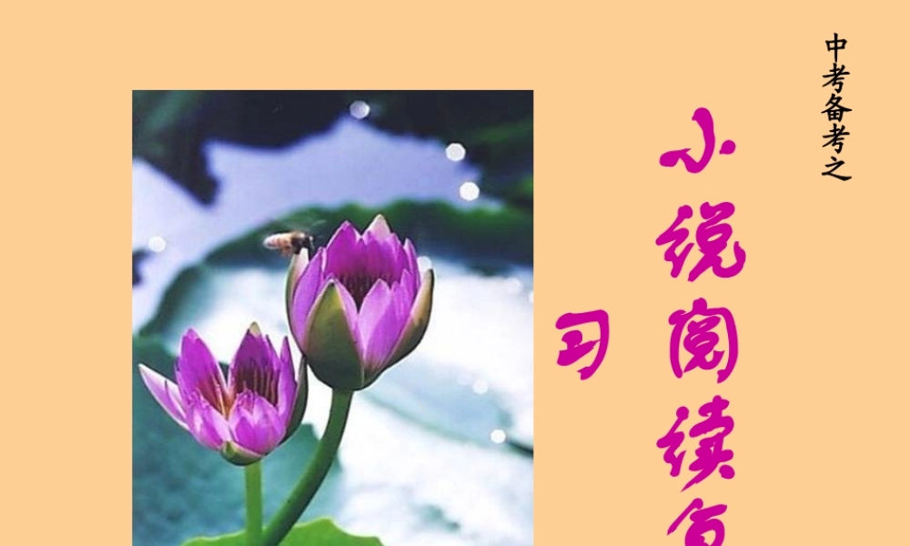 中考语文 备考之小说阅读复习课件