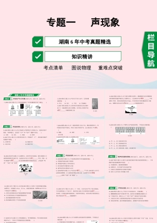 中考物理一轮复习 专题一 声现象课件