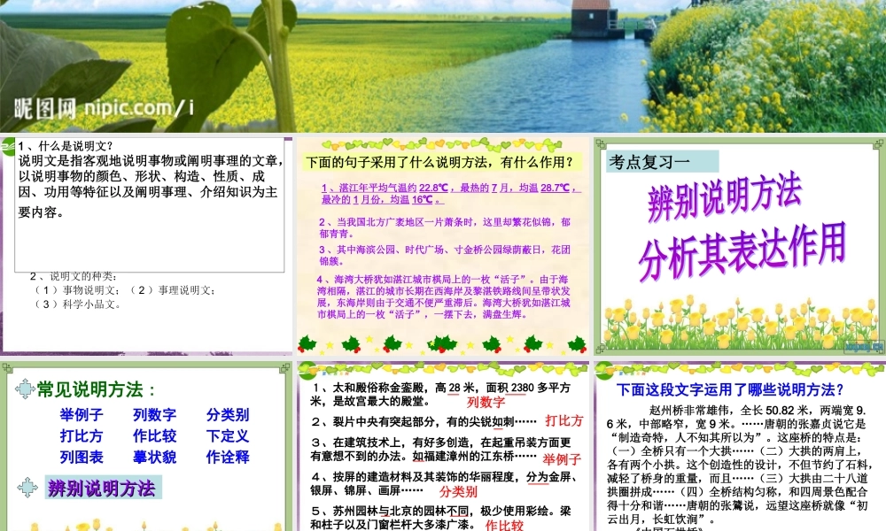 中考语文 说明文阅读解题技巧指导课件 人教新课标版 课件