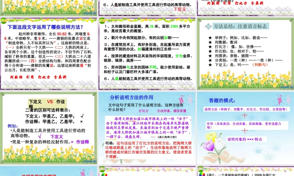 中考语文 说明文阅读解题技巧指导课件 人教新课标版 课件