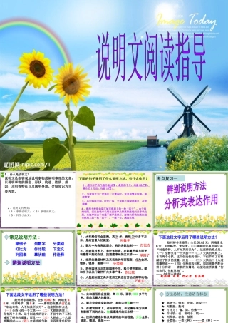 中考语文 说明文阅读解题技巧指导课件 人教新课标版 课件