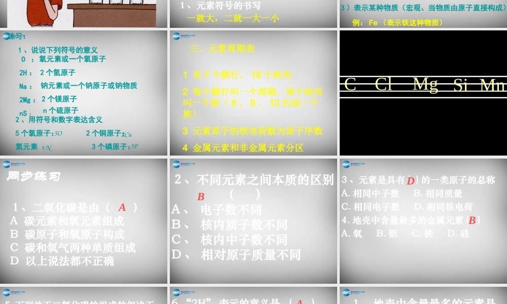 九年级化学上册 33 元素课件 (新版)新人教版 课件