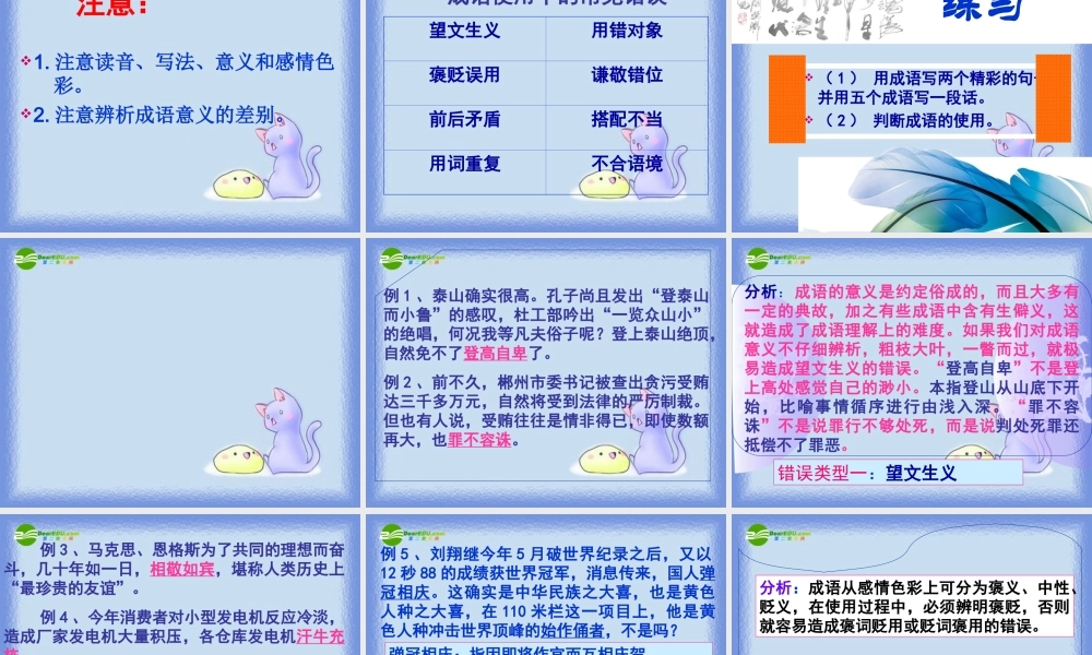 中考语文复习 成语辨析专题课件