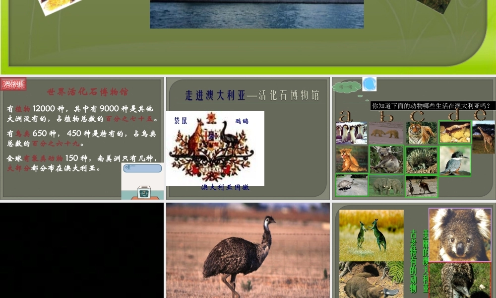 七年级地理下册：第八章第四节 澳大利亚(课件)人教版新课标 课件