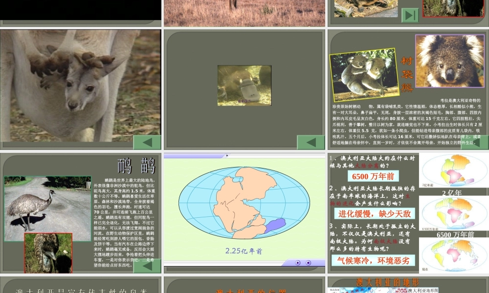 七年级地理下册：第八章第四节 澳大利亚(课件)人教版新课标 课件