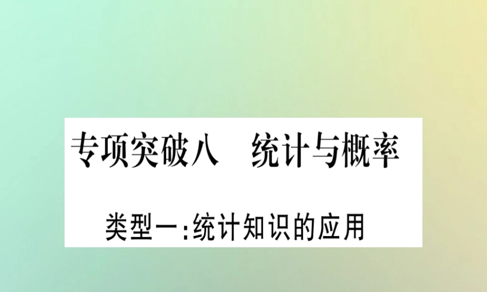 中考数学精选准点备考复习 第二轮 中档题突破 专项突破8 统计与概率课件 新人教版 课件