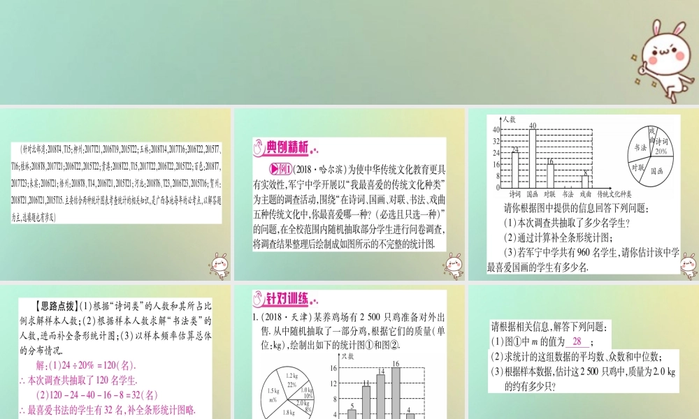 中考数学精选准点备考复习 第二轮 中档题突破 专项突破8 统计与概率课件 新人教版 课件