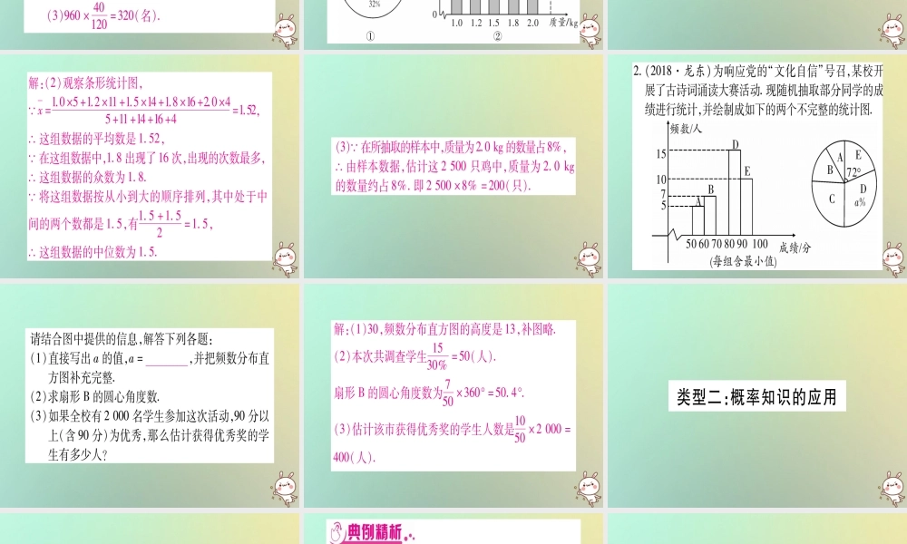 中考数学精选准点备考复习 第二轮 中档题突破 专项突破8 统计与概率课件 新人教版 课件