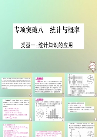 中考数学精选准点备考复习 第二轮 中档题突破 专项突破8 统计与概率课件 新人教版 课件